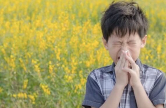花粉を徹底バリア！花粉症対策は【株式会社ファクトテック】