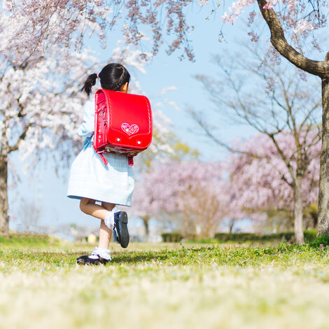 入学子供たて